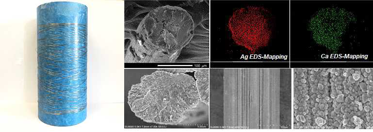In-situ 금속이온교환을 이용한 전도성 Ag/alginate섬유 SEM 이미지