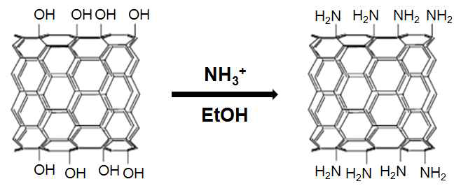 Ammonia를 통한 amine-functionalization 반응