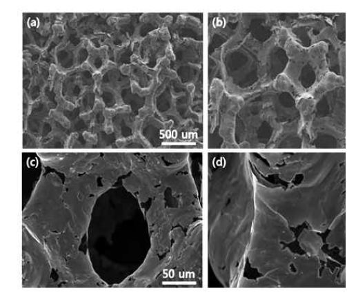 합성된 graphene nanomesh foam의 SEM image