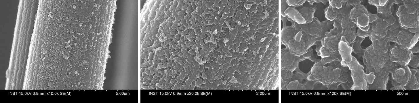 PANI가 합성된 탄소섬유 표면의 SEM 사진