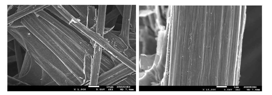 카본페이퍼의 주사전자현미경(SEM) 이미지 (왼쪽) 1000배, (오른쪽) 10000배