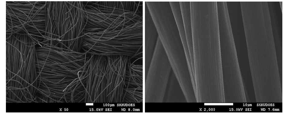카본클로스의 주사전자현미경(SEM) 이미지 (왼쪽) 50배, (오른쪽) 2000배