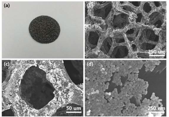 graphene nanomesh foam과 Co3O4 나노입자의 SEM images