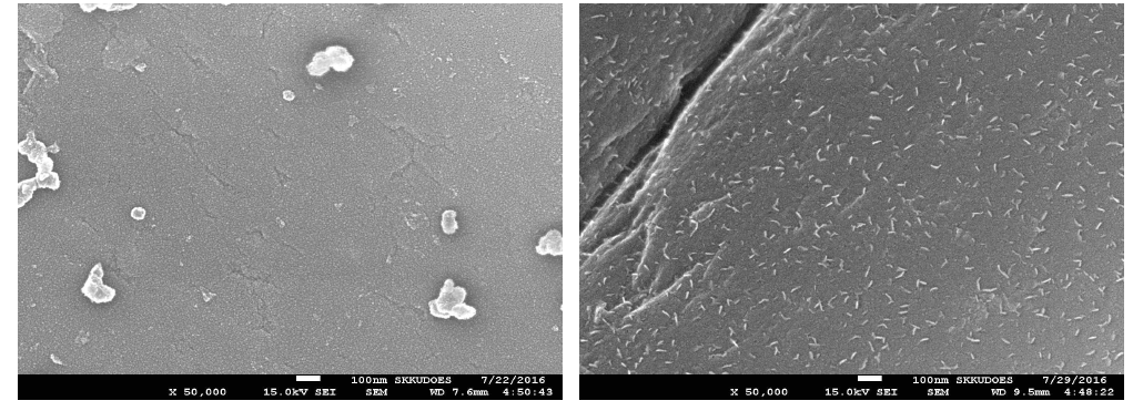 니켈산화물(900사이클)/활성화 탄소섬유 셀의 충·방전 20사이클 전(왼쪽)과 후(오른쪽) 표면의 SEM 이미지
