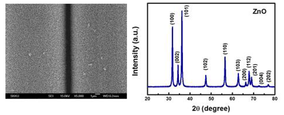 직물기판 상에 성장된 ZnO nanoflakes SEM image 와 XRD 데이터