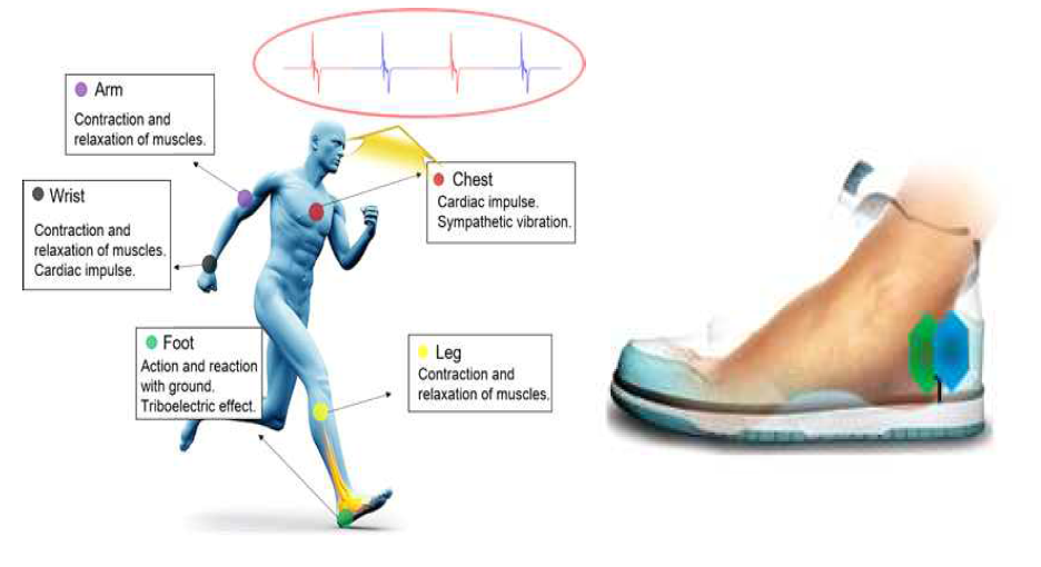 신발형태의 착복형 nanogenerator 모식도