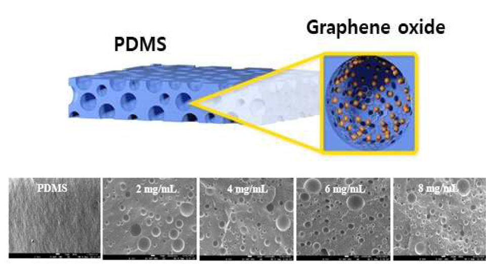 PET기반 PDMS, Graphene oxide 복합 고효율 Tribonanogenerator의 모식도 및 SEM image