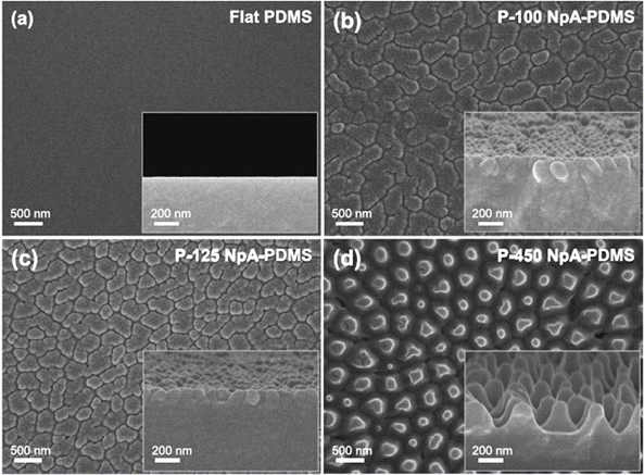 Period가 제어된 nanopillar의 상단과 단면 형상