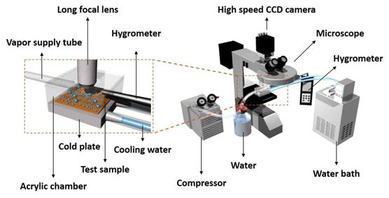 현미경 기반 응축 실험 장치의 모식도