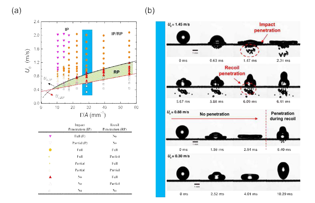 (a) 충돌 속도에 따른 regime map (초발수 표면): 발수 표면과 동일하게 표면의 Pore가 작아질수록 임계 반동 투과 속도 (Uc,RP)가 증가함. 임계 반동 투과 속도는 액적 충돌 투과 속도보다 낮음. (b) 액적의 충돌 속도에 따른 액적 충돌 연속 이미지