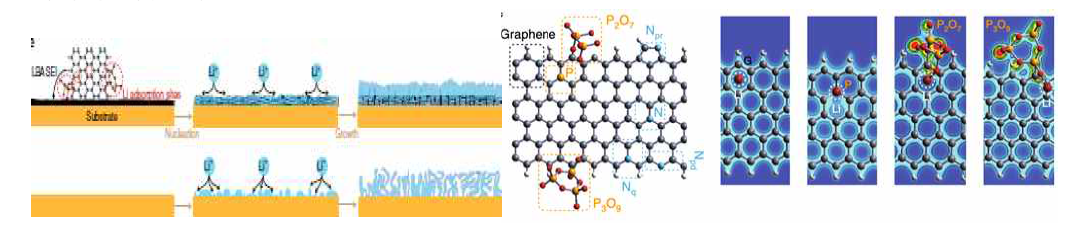 Phosphate-doped 그래핀 (PrGO) LBASEI 층으로 안정화된 리튬음극 표면으로의 안정적인 리튬 도금의 모식도, PrGO 구조 모식도, 리튬 원자에 대한 PrGO 전하밀도 계산 결과