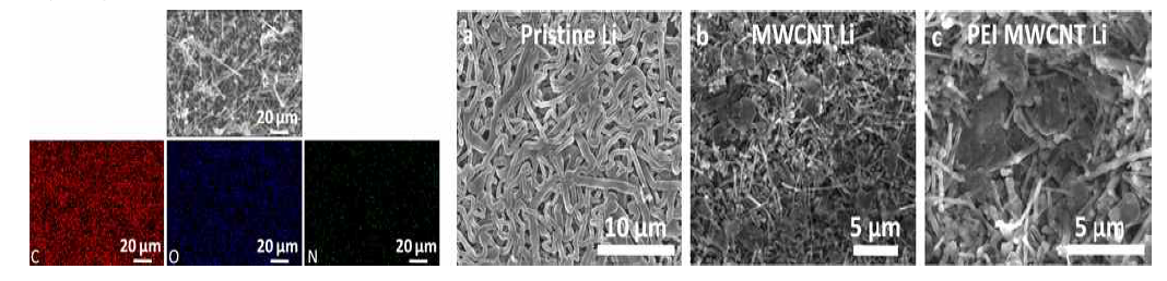 PEI MWCNT LBASEI 층으로 안정화된 리튬음극 표면의 SEM 관찰 결과