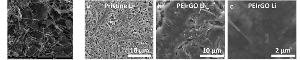 PEIrGO LBASEI 층으로 안정화된 리튬음극 표면 (좌)과 사이클된 리튬표면 SEM 관찰 결과 (우)