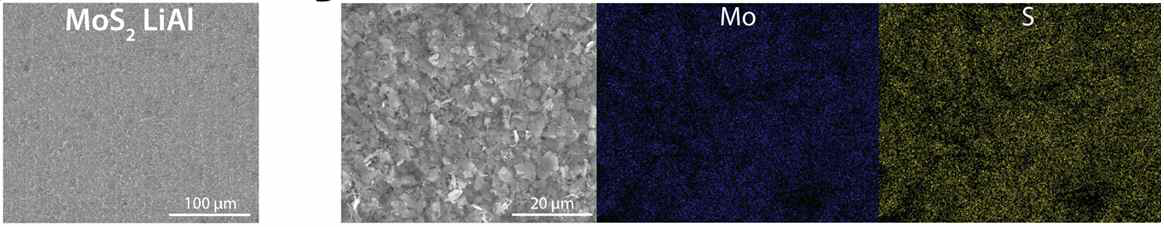 MoS2 LBASEI Li-Al 음극 표면 SEM SE 및 EDAX 이미지
