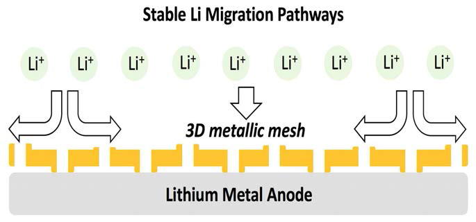 3차원 구조의 금속 집전체 중간층이 리튬이온의 이동을 안정화시키는 것을 나타낸 모식도