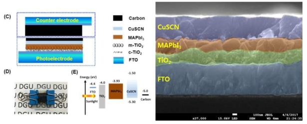 탄소기반 상대전극을 활용한 Perovskite 태양전지