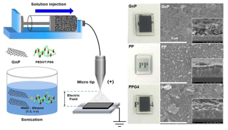 전도성 폴리머/그래핀 상대전극 개발 모식도