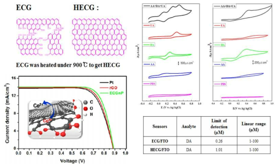 가장자리가 기능화된 그래핀 모식도 및 전극화를 통한 태양전지 및 바이오센서 활용 결과