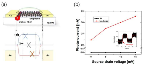 (a) 제안한 전광섬유 그래핀 광 검출기 모습 및 (b) 실험 결과