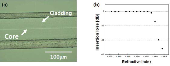 (a) 제작된 높은 개구수의 측면 연마 광섬유의 광학 현미경 사진 (b) 다양한 굴절률 정합 오일을 떨어뜨렸을 때 생성된 투과 손실 그래프