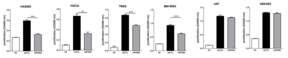 PXDN을 발현이 다양한 세포에서 PXDN knockdown 후 세포증식의 변화 조사
