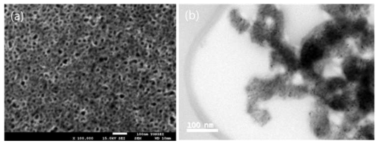 (a) Ni금속/Ni-Y산화물 나노 다공성 구조의 SEM 사진, (b) Ni금속/Ni-Y산화물 나노 다공성 구조의 TEM 사진