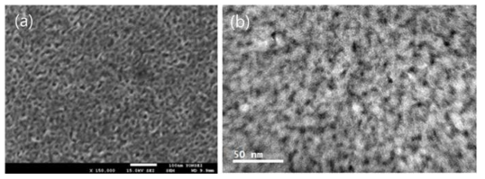 (a) Ni-Co금속/Ni-Co-Y산화물 나노 다공성 구조의 SEM 사진, (b) Ni-Co금속/Ni-Co-Y산화물 나노 다공성 구조의 TEM 사진