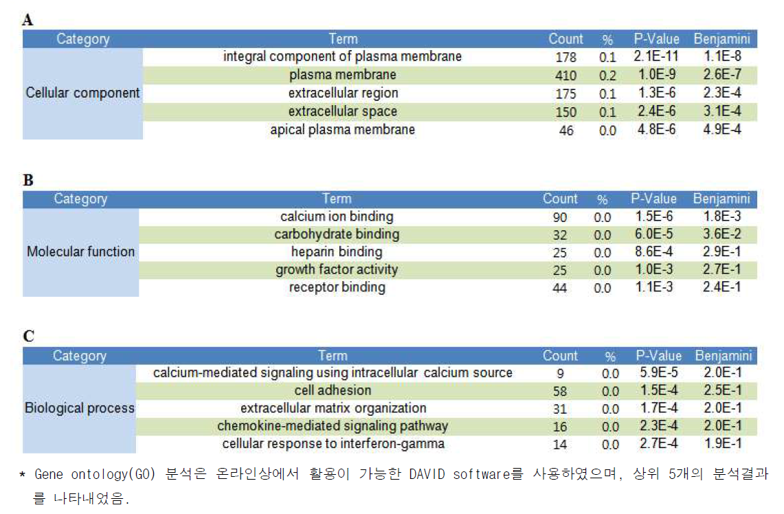 두 종류의 siPRMT6에 의해 발현이 변화되는 유전자들의 Gene ontology 분석