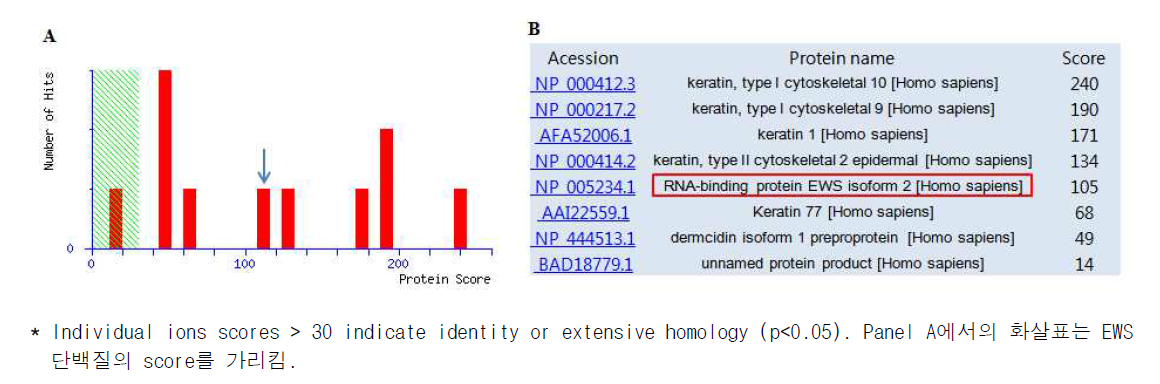 Mass spectrometry를 이용한 75kDa 단백질의 규명