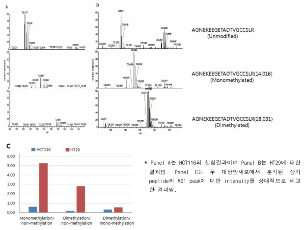 LC-MS/MS를 이용한 대장암세포에서 TOP1 R508 메틸화 확인 및 수준비교