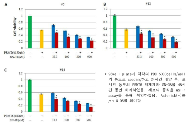 SN-38과 PRMT6 억제제의 병용처리에 의한 PDC의 증식억제 관찰