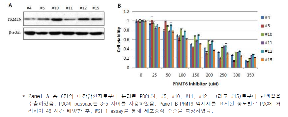 PDC의 PRMT6 발현 및 PRMT6 억제제에 의한 PDC 증식억제 관찰