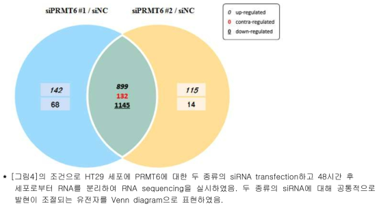 HT29 세포에서 PRMT6 발현억제에 의해 조절되는 유전자 확인