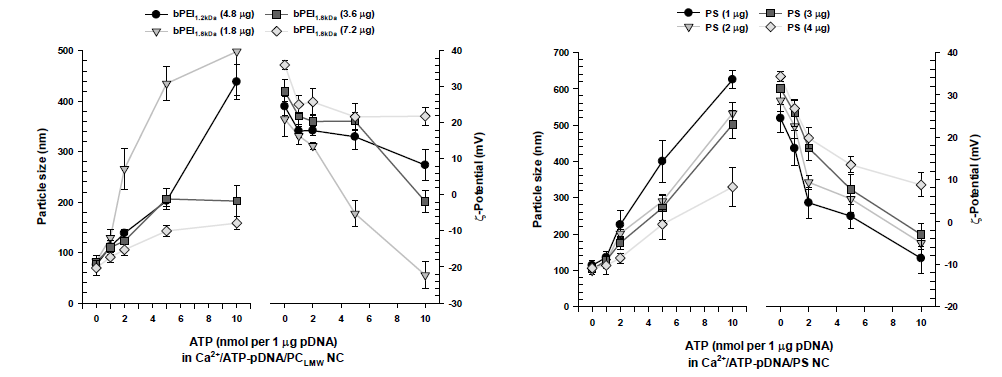 Ca2+/ATP-유전자/PC 나노복합체의 입자크기 및 제타전위
