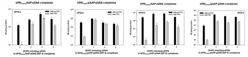 줄기세포(DPSCs 및 ADSCs)에서 bPEI25kDa/AAP-유전자와 bPEI25kDa/pAAP-유전자 나노복합체의 유전자 발현 정도