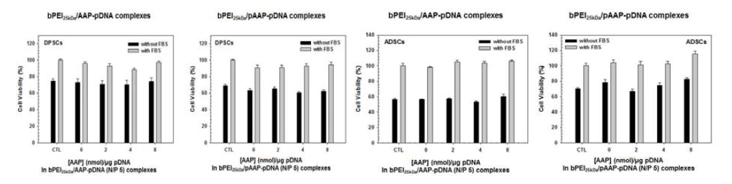 줄기세포(DPSCs 및 ADSCs)에 대한 bPEI25kDa/AAP-유전자 나노복합체와 bPEI25kDa/pAAP-유전자 나노복합체의 트랜스펙션 시, 배지 내 혈청 존재 유무에 따른 줄기세포 생존율