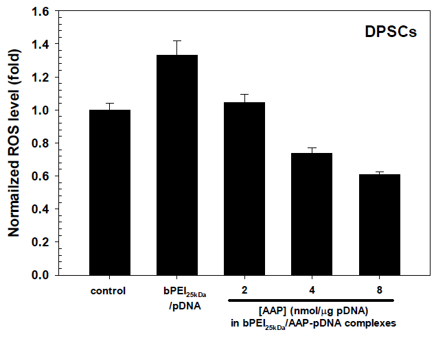 줄기세포(DPSCs)에서 bPEI25kDa/AAP-유전자 나노복합체의 활성산소종 생성 평가