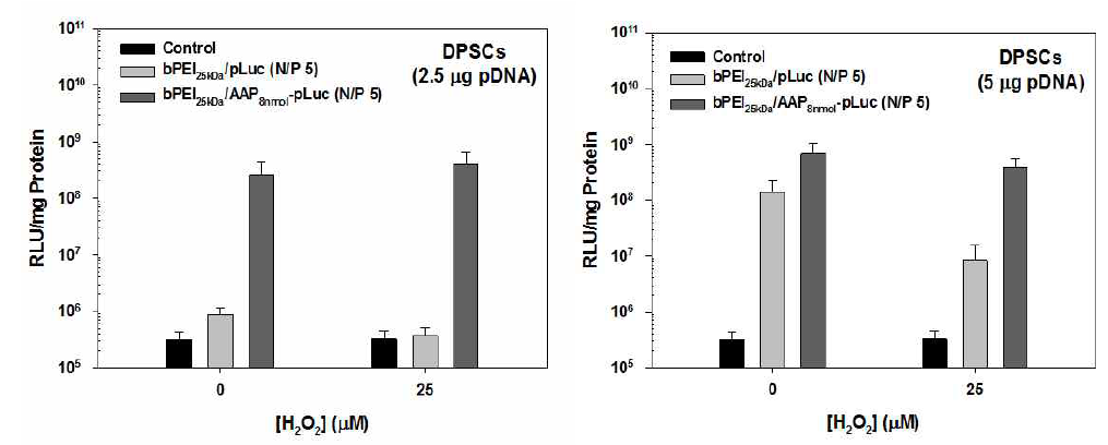 줄기세포(DPSCs) 에서 H2O2 존재 시 bPEI25kDa/AAP-유전자 나노복합체의 유전자 발현효율