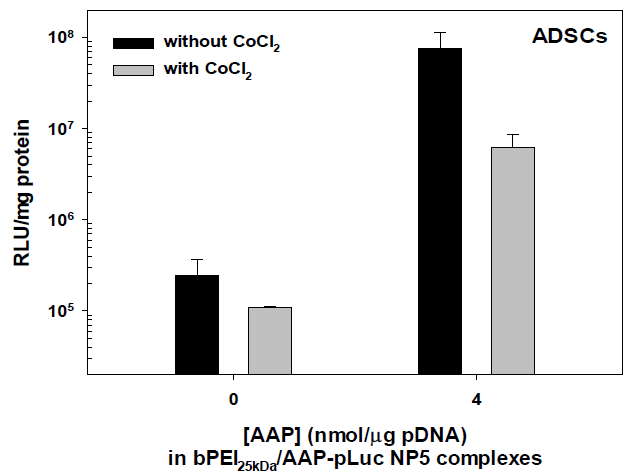 CoCl2 존재 유무에 따른 줄기세포(ADSCs)에서의 bPEI25kDa/AAP-유전자 나노복합체의 유전자 발현효율