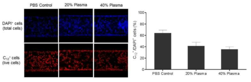 Microfluidics를 이용한 이종반응 후 MPN3 세포의 생존률 분석