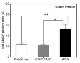 인간 혈소판과 반응시킨 후 돼지의 내피세포 (MPN3, GTKO)에 의한 인간 혈소판의 활성화 분석