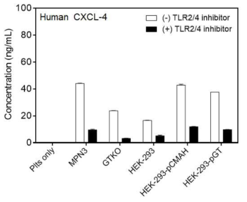 TLR-2/-4 inhibitor 처리 후 돼지의 내피세포와 글리칸 항원이 도입된 HEK-293 세포주 (HEK-293, HEK-293 p-GT, HEK-293 p-CMAH)에 의한 인간 혈소판의 활성화 기전에 관여하는 용해성 인자 발현 (CXCL-4)