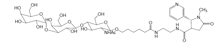 화학적으로 합성한 알파갈 코티닌 복합체의 구조