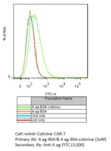 FACS 기법을 통해 A-BSA-코티닌의 양쪽 반응성 확인