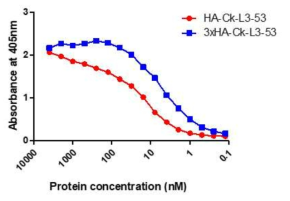 HA-Ck-항 코티닌 퓨전 단백질 ELISA