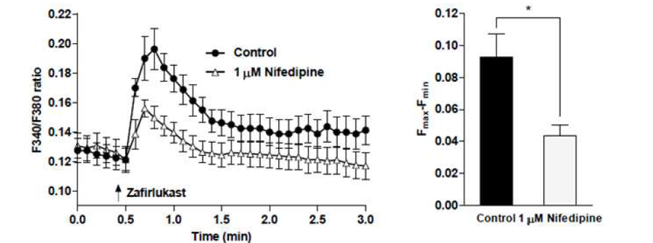 L-type Ca2+ channel antagonist인 nifedipine에 의한 Zafirlukast의 Ca2+ 증가 억제