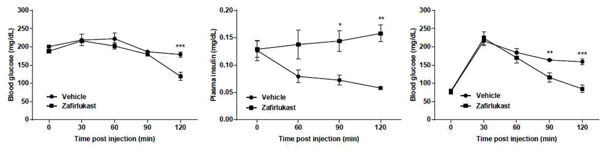 Zafirlukast에 의한 혈당 변화와 인슐린