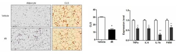 ​F4/80 immunohistochemical analysis of adipose tissue and relative expression of genes related to inflammation in vehicle or chemical treated ob/ob mice