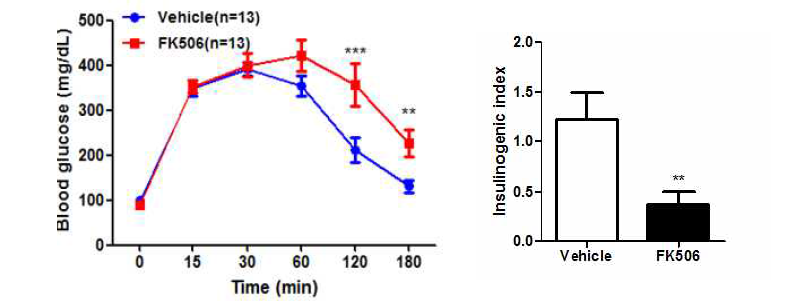Calcineurin inhibitor 인 FK506 이 in vivo b-cell function,에 미치는 영향. 50 mg/kg FK506을 8 주간 투여 후 intraperitoneal glucose tolerance test (left) 를 시행하고 insulinogenic index를 계산 (right)