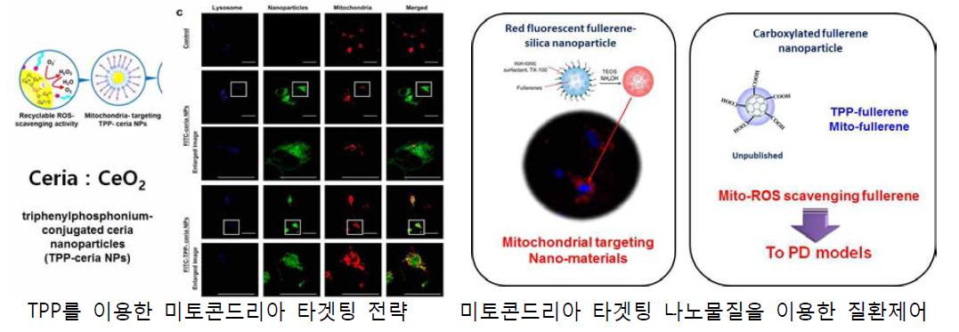 나노물질 미토콘드리아 타겟팅 전략